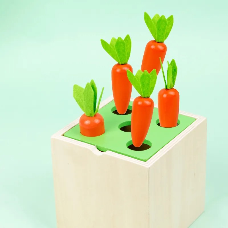 Object Permanence Learning Box Educational Toy for Toddlers